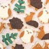 KAISHANE 5 Pieces Animals Cookie Cutters Shapes for Baking Fox,Owl,Rabbit,Squirrel