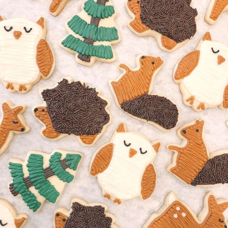KAISHANE 5 Pieces Animals Cookie Cutters Shapes for Baking Fox,Owl,Rabbit,Squirrel