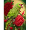 HMDIIMGE Diamond Painting Kits Green Parrot, A Full Round Embroidery