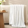 RUIKASI Fleece Throw Blanket for Sofa - White Single Fluffy