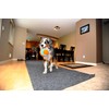 Chuck It Pelota Suave Indoor, Colores Surtidos