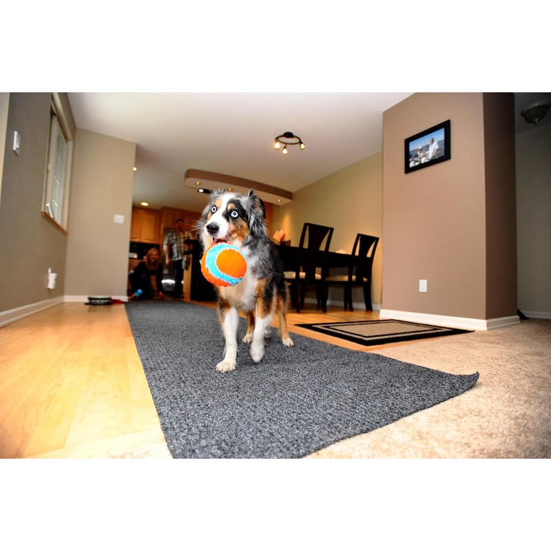 Chuck It Pelota Suave Indoor, Colores Surtidos