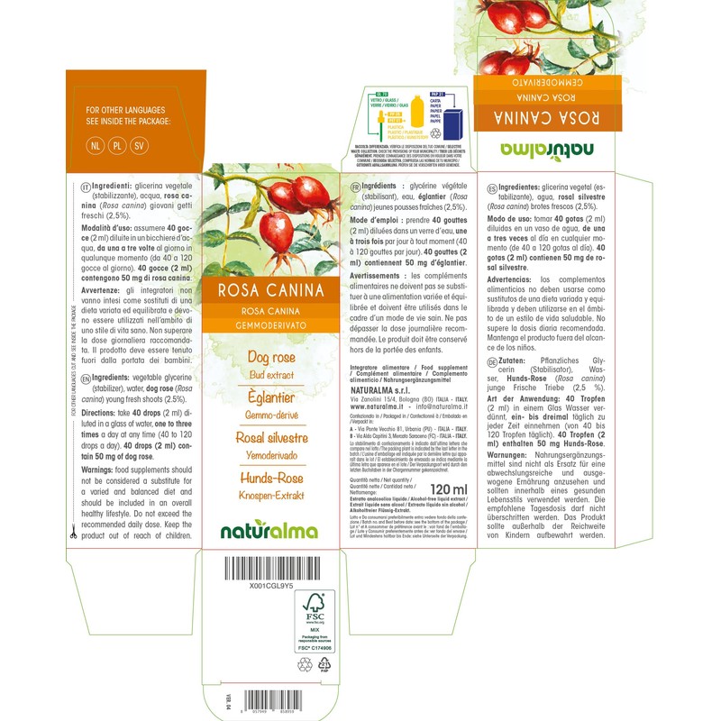Dog Rose (Rosa Canina) Alcohol-Free Bud Extract from Fresh Buds