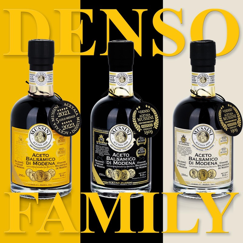 Mussini Aceto Balsamic Di Modena IGP - IL DENSO 12