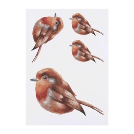 4 x 'Robin' Temporary Tattoos - Water Resistant, Skin-Safe, Non-Toxic Transfers, Mixed Sizes (TO00074368)