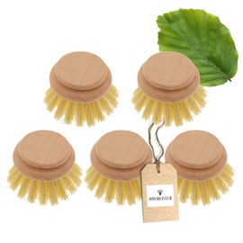 5 x Hofmeister® Replacement Head for Wooden Dish Brush, Length 24 cm, Real Fibre, Large Head 5.3 cm, Robust, Made in Europe, Heat-Resistant Washing Brush, Brush Head for Changing, Made in EU