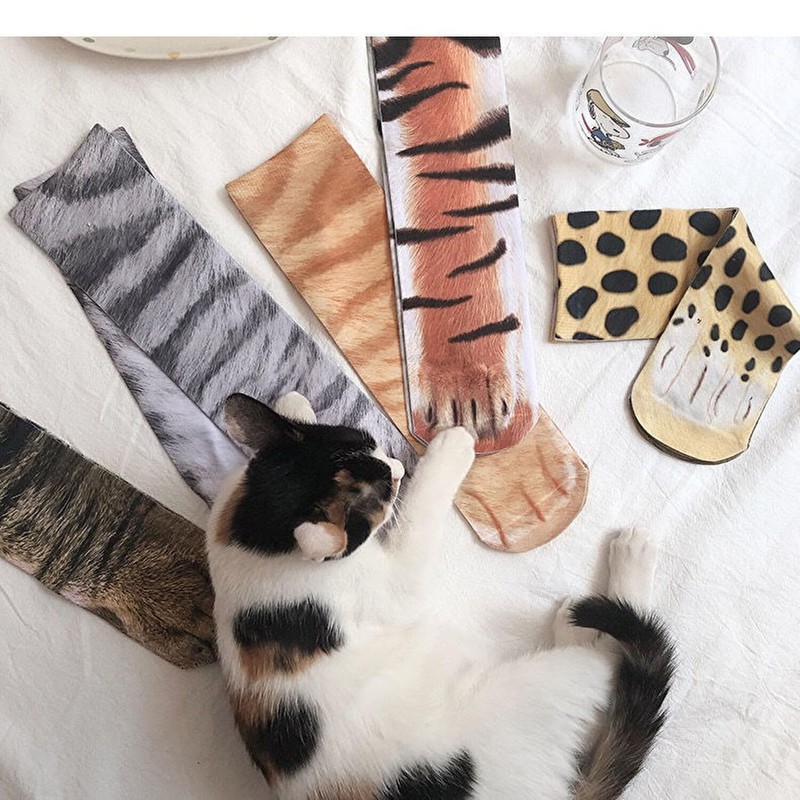 Pupule holomua Women's Socks, Cats, Animals, Foot, Funny, Ankle, High