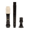 CASCHA Soprano Descant Recorder, Plastic Flute for Children and Beginners,