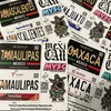 Card Stickers - Mexico Placas (Mexican License Plate) - For