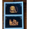 Prank 3D COLOR Customized Fake Ultrasound Strip of 2 Photos
