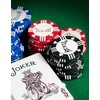 Bicycle 8G 50Count Clay Poker Chips 8G Clay Poker Chips,