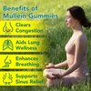Mullein Gummies 2000mg for Lungs, Enhances Immune Function, Promotes Digestive