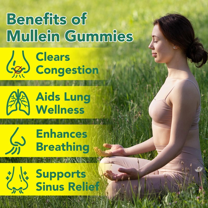 Mullein Gummies 2000mg for Lungs, Enhances Immune Function, Promotes Digestive