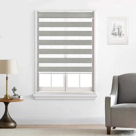 Everyday Celebration Roller Window Shades, Zebra Blinds for Windows Cordless Roller Blinds for Indoor Windows, Light Filtering Window Blinds, Dual Layer Roller Shade, (Silver Grey) 69" W X 72" H