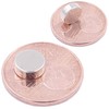 Brudazon 50 Mini Disc Magnets 8 x 3 mm N52