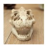 XIZHI Aquarium Decorated Skeleton Hole Resin Artificial Dinosaur Skeleton Ornament