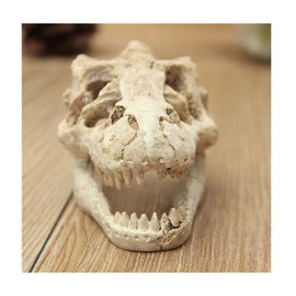 XIZHI Aquarium Decorated Skeleton Hole Resin Artificial Dinosaur Skeleton Ornament Aquarium Decorated Cave Landscape Pet Reptiles House (Dinosaur Skull)