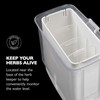 Cole & Mason Fresh Herb Keeper - Acrylic Storage Container