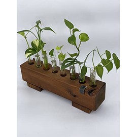 Propagation Station Wood |Propagation Station Stand|Large propagation stand|Plant Cuttings Vase|