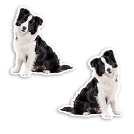 2 x 10cm Border Collie Puppy Vinyl Stickers - Dog Sticker Luggage Laptop #20696 (10cm Tall)