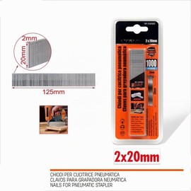 Terryshop74® 1000 Chiodi per Puntinatrice Pneumatica 18Ga – Testa 2 mm – Chiodini per Finitura in Legno – 4 Misure Disponibili 20/30/40/50 mm (2x20 mm, 1000, Pezzo)