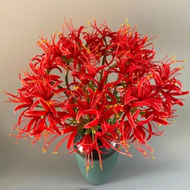 Qingriver 4 Stems 26.38'' Artificial Spider Lily Flowers Lycoris Radiata for Home Garden Decoration Red
