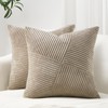 Topfinel 22x22 inches Euro Pillow Shams Set of 2 Soft
