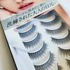 CLEAR EYELASH False Eyelashes Matsueku High Capacity 10 Pairs (Cool