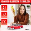 Fuzix WS-1955 Car Bluetooth Portable Speaker with LED AUX USB