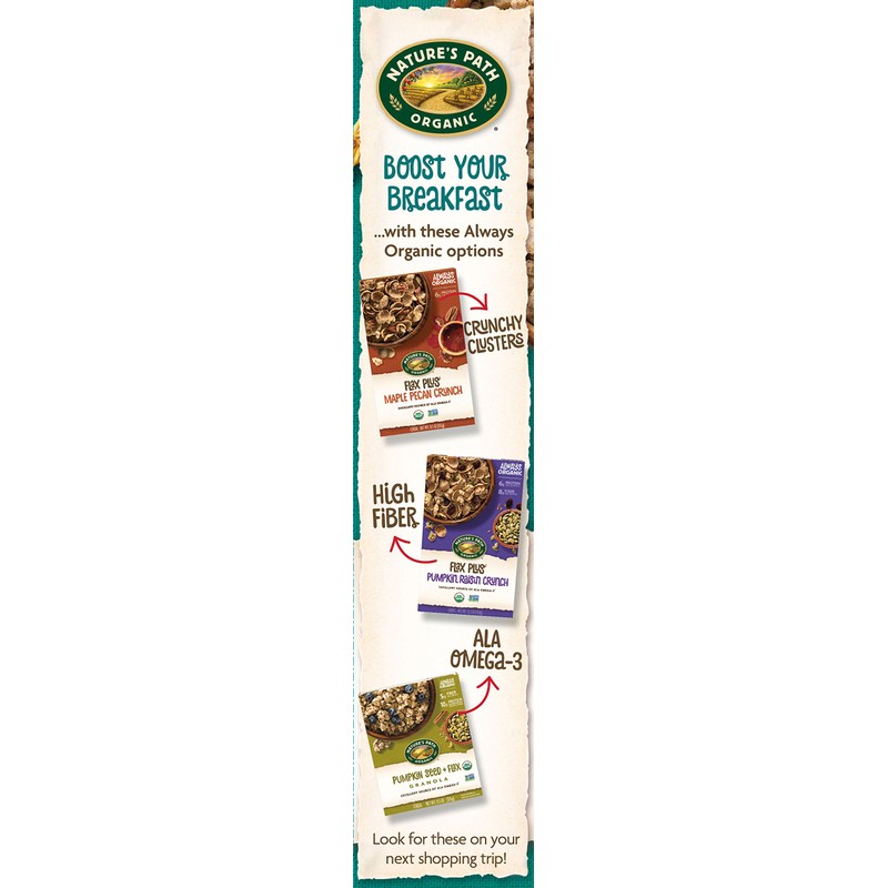 Nature's Path Organic Smart Bran Cereal, 10.60-Ounce Box