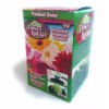 Flower Rocket AS SEEN ON TV Painted Daisy Kit Over 500 Seeds