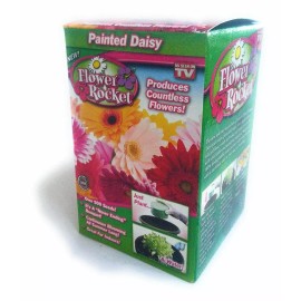 Flower Rocket AS SEEN ON TV Painted Daisy Kit Over 500 Seeds