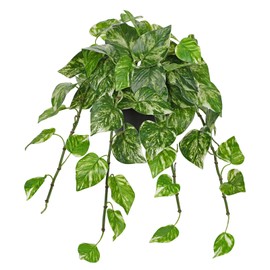 Hollyone Artificial Hanging Pothos Plants Potted Fake Ivy Faux Pothos Vine Leaves Hanging Greenery Plant in Black Pot for Home Indoor Tabletop Bedroom Patio Shelf Office Decor