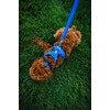 Ruffwear, Front Range Dog Collar, Durable and Comfortable Collar for