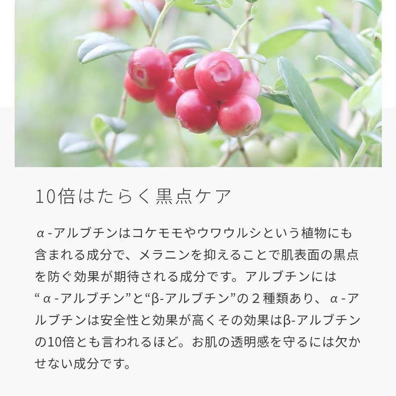 α-arbutin/0.4 oz (10 g)