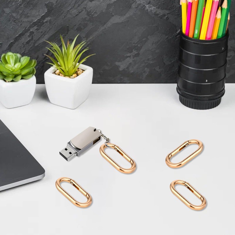 2 Pcs Gold Carabiner Key Clips,Heavy Duty Spring O Ring