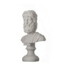 ZEUS Greek God of the Sky Greek Roman Bust Head