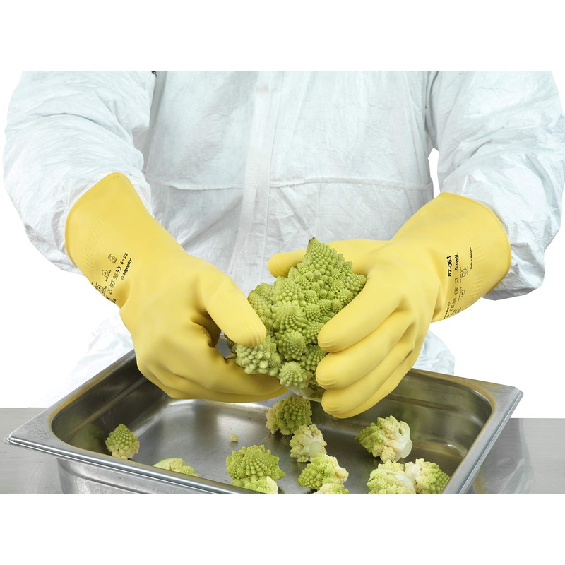 Ansell AlphaTec 87-063 Multi-Purpose Work Gloves, Chemical Resistant, Picot Pattern