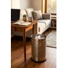 ROYAL SAPPHIRE Stainless Steel Perforated Open Dustbin Stainless Steel Trash