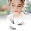 Oreola Cluster Lashes Extensions 10D 20D Individual Eyelashes 0.1D Curl