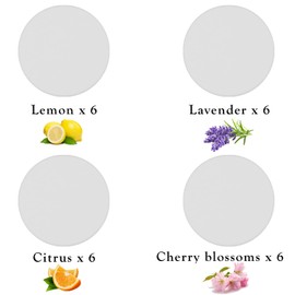 Maitys 24 Pcs Fragrance Discs Replacement Steam Mop Scent Practical Fragrance Compatible with Powerfresh and Symphony Series, Compatible with Model 1940, 1806 and 1132(Fresh Fragrances,24 Pcs)