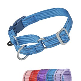 YUDOTE Reflective Martingale Dog Collars, Escape Proof Anti-Pull Training Collar with Safety Quick Release for Narrow Head Dogs Makes Walking Easier, Large, Blue