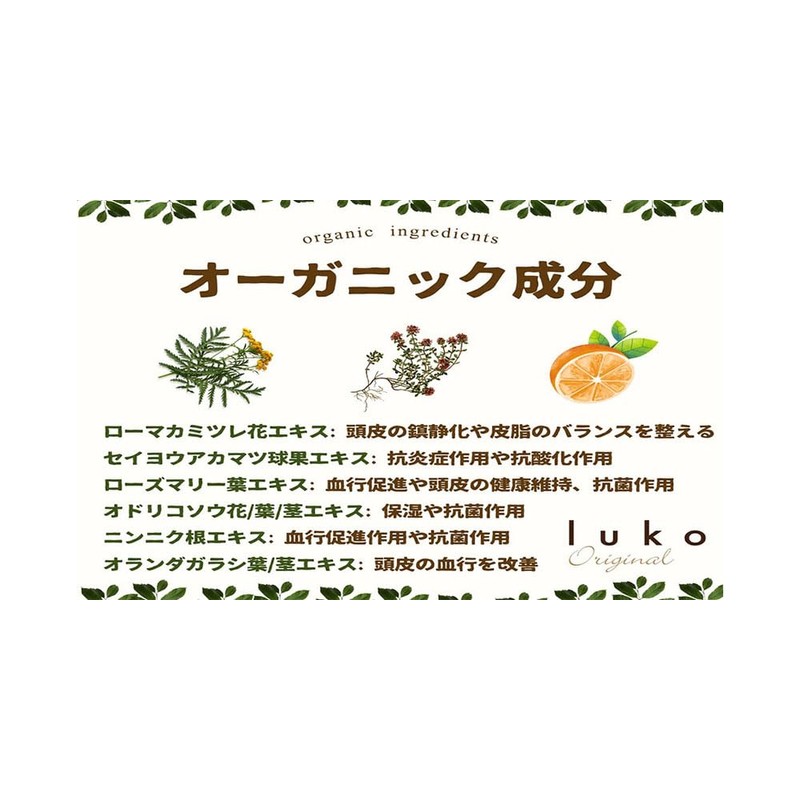 Co-shampoo (10.1 fl oz (300 ml)