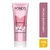 Limpiador Facial Pond's Hydra Active ácido hialurónico 200 ml