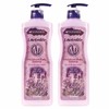 Moisturizing and soft moisturizing film forming body lotion 500ml Lavender 2 x (WC6E585) - Basic product / 촉촉 부드럽게 보습막형성 바디로션 500ml 라벤더 2개 (WC6E585) - 기본상품