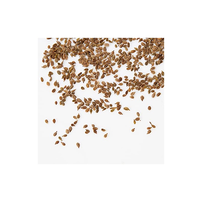 PREMIER SEEDS DIRECT - Carrot - Royal CHANTENAY -4 Grams