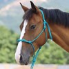 Harrison Howard Rope Halters for Horses Super Sturdy Horse Rope