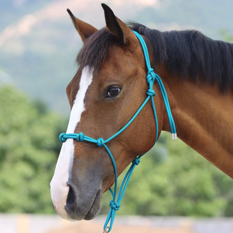 Harrison Howard Rope Halters for Horses Super Sturdy Horse Rope