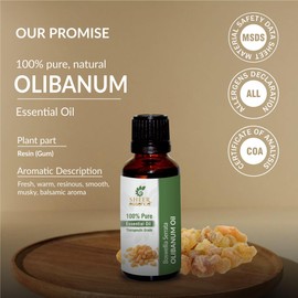 Sheer Essence Olibanum Oil 5 ML (0.16 Fl.Oz) | 100% Pure Natural Undiluted Uncut Therapeutic Grade Boswellia Serrata Essential Oil