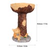 Cat Bird Bath Statue Durable Resin Bird Bath Bowl Exquisite